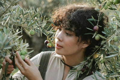 Understanding the Rise in Olive Oil Prices in South Africa