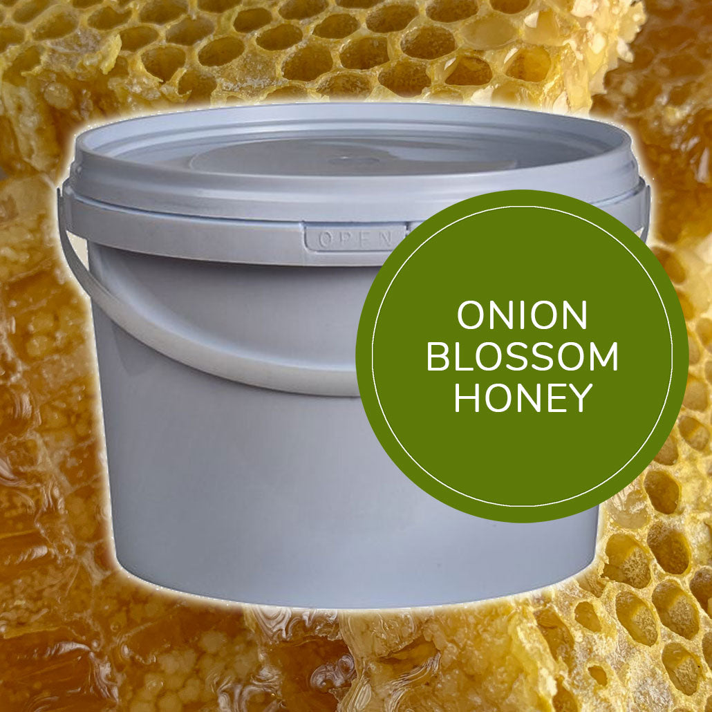 3kg Onion Blossom Honey