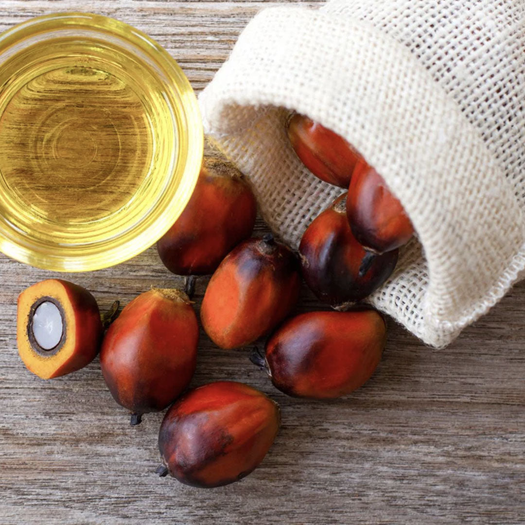batana plant seeds African Oils | Cosmetics