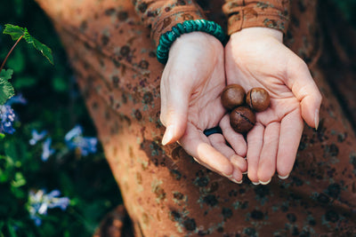 Comparison of Walnut Oil to Macadamia Oil