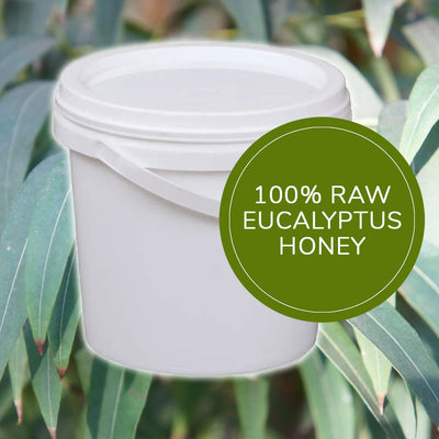 3kg Eucalyptus Honey