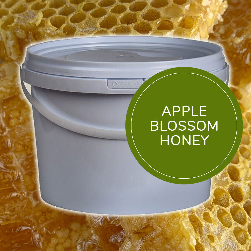 3kg Apple Blossom Honey - Raw