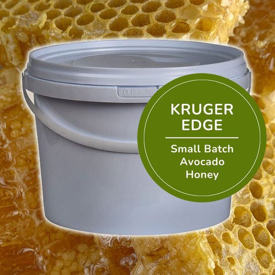 3kg Avocado Honey