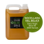5L Nocellara Del Belice - Extra Virgin Olive Oil 2025 Harvest